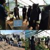 برگزاری کارگاه آموزشی پرورش گل و گیاهان زینتی در شهرستان لاهیجان 